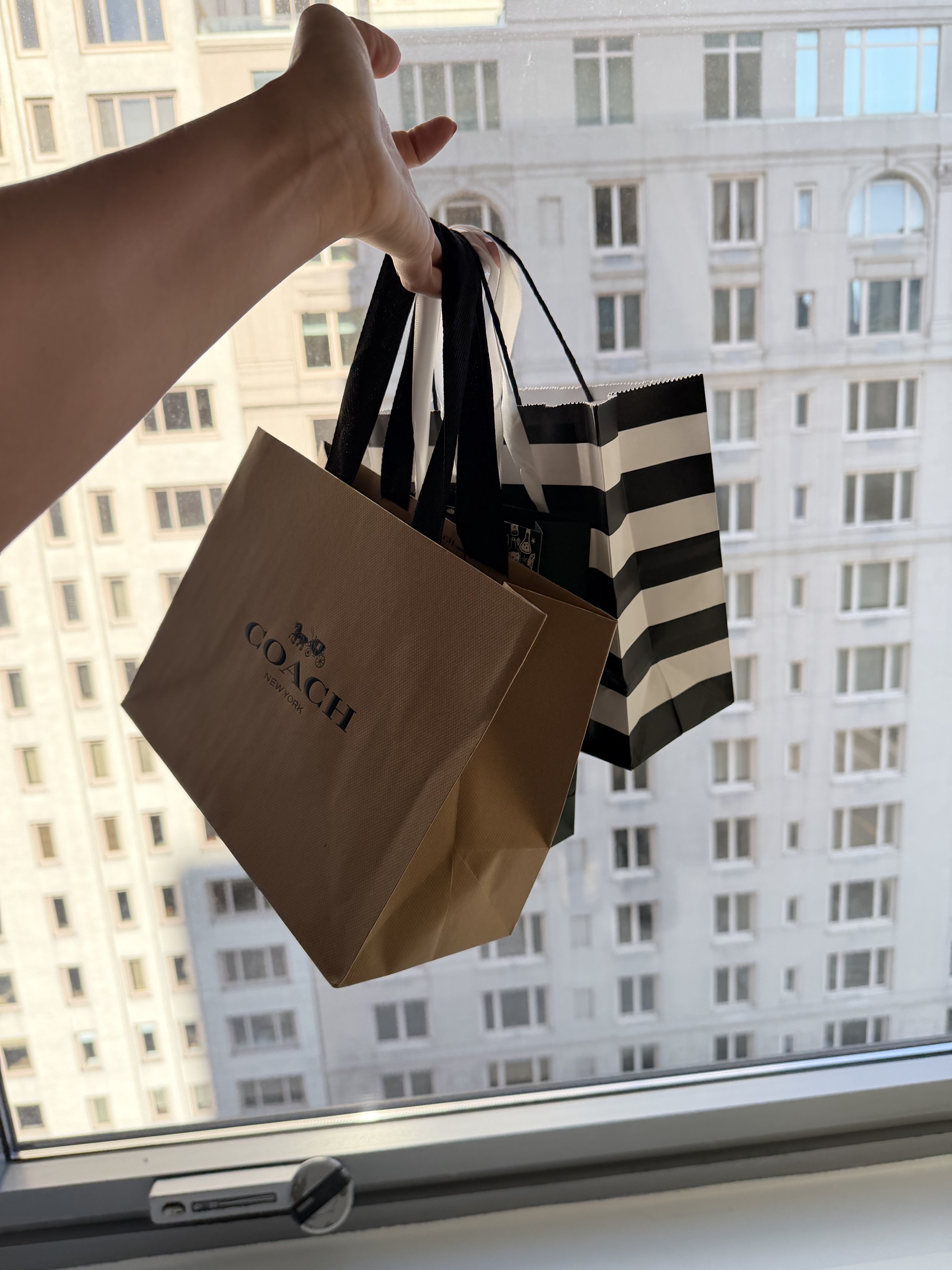 Two shopping bags held up against a bright window, the building opposite behind them.